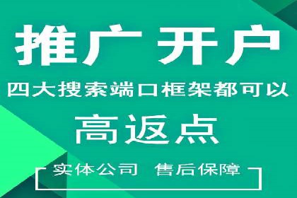 某品牌SEM推广策略的成效与启示